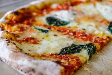 Pizza üzerine taze fesleğen