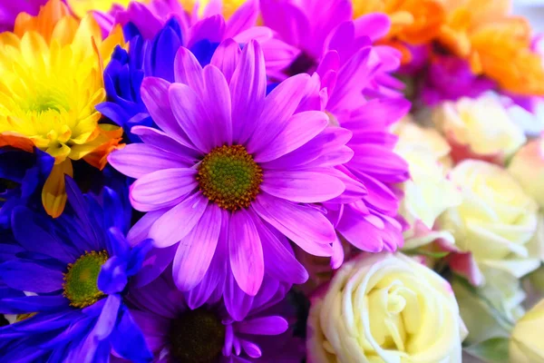 Marguerite violette au bouquet — Photo