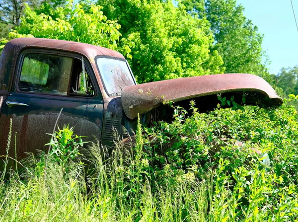 Vieux camion dans les mauvaises herbes — Photo