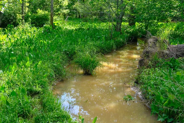 Fiume sotto il sentiero — Foto Stock