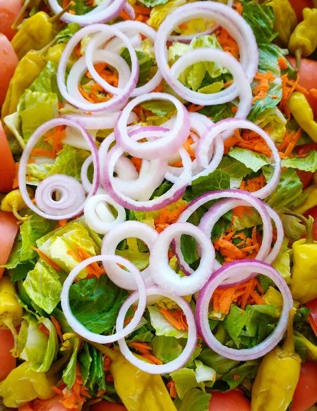 Mixed Sald with Onions — Stockfoto
