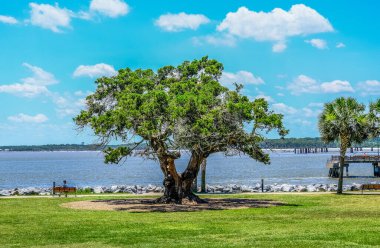 Aziz SIMONS, GEORGIA - 8 Haziran 2021: St Simons Adası, Georgia, kısmen Village 'daki plaj ve barlar ve restoranlar sayesinde tüm bariyer adaları arasında en çok aile dostu olan ülke.