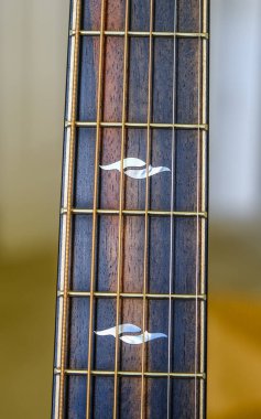 Gitarda Ebony Neck