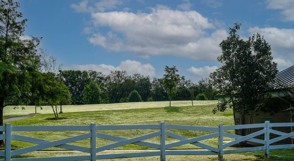 Зелена трава Дьюї вранці — стокове фото