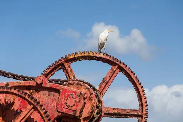 Witte kraan op rode Gear — Stockfoto