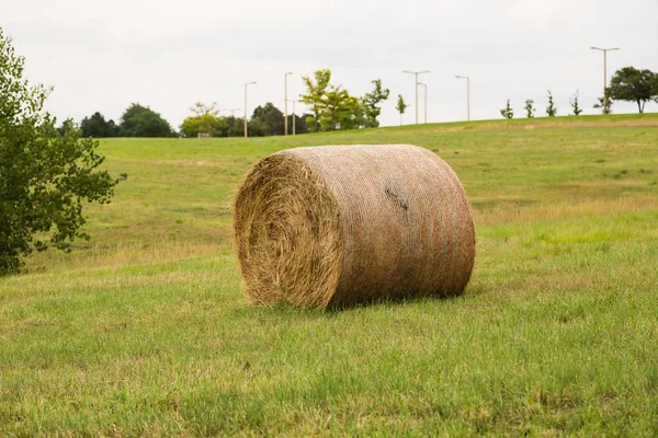 Heubrötchen im Grasfeld — Stockfoto