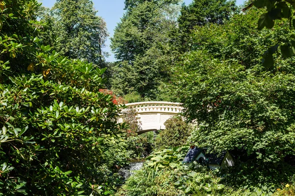 Bridge Arching Through Green Trees — Stock Photo, Image