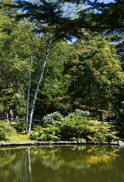 庭の池沿いの木々 — ストック写真
