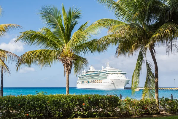 Cruise Ship Between Palm Trees — Stock Image Cruise Ship Between Palm Trees Stock Photo