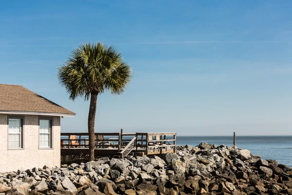 Fa fedélzet és palm tree át kő seawall kék ég alatt — Stock Fotó