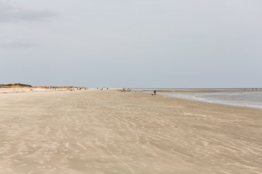 boş bulutlu gün sahilde