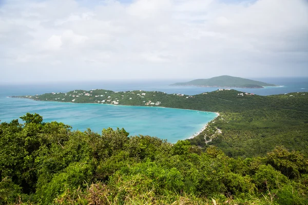 Megans bay ve stromech — Stock fotografie