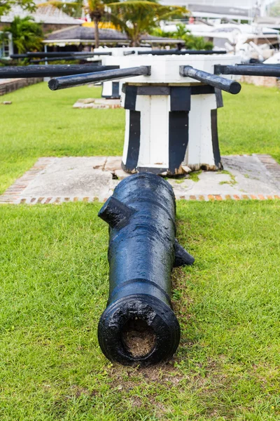 Old Black Cannon on Grass — Stock Photo, Image