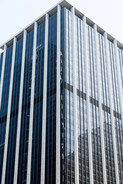 Torre de escritório preto e branco em Chicago — Fotografia de Stock