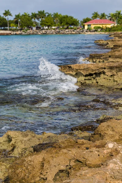 Moss objęte skał i Surf tropikalny — Zdjęcie stockowe