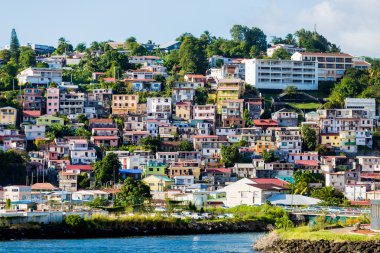 Many Colored Homes up Hill on Martinique clipart