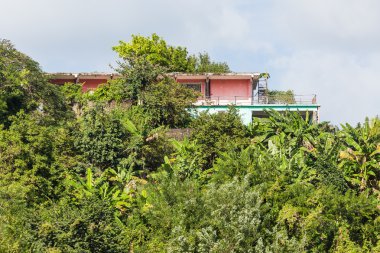 Pembe ve yeşil tropikal tepede eve sıva