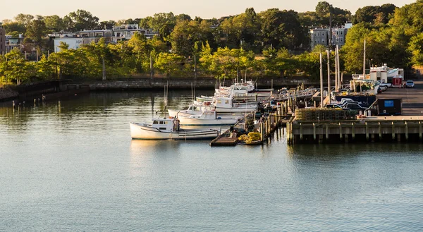 Beaucoup de bateaux de pêche blancs au quai à l'aube — Photo