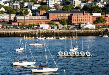 Yelkenli ile arka planda Portland Harbor
