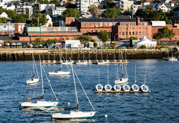 Barche a vela in Porto con Portland sullo sfondo — Foto Stock