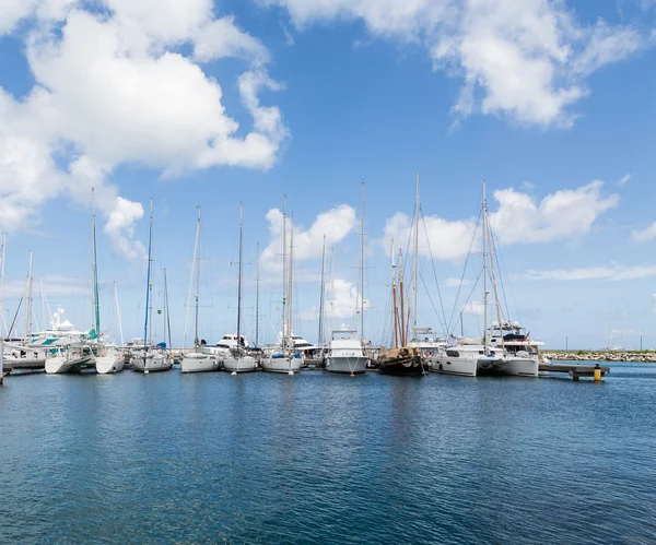 Veleros con mástiles altos blancos en Blue Harbor —  Fotos de Stock