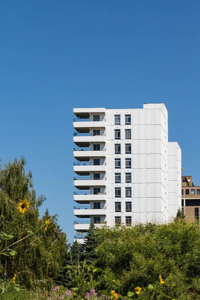 White Condo Tower with Sunflowers in foreground — Stock Photo, Image