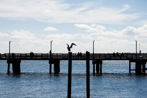 Sillouette of Pelican and Pier — Stock Photo, Image
