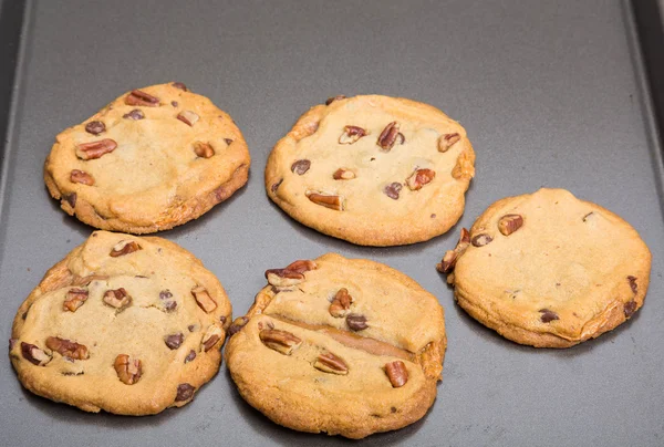 Baking Sheet of Fresh Cookies — Stock Photo, Image