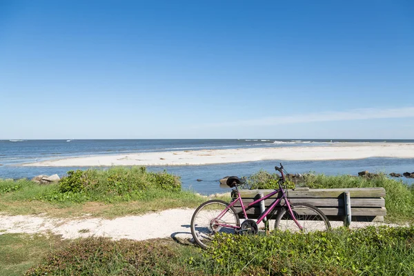 Fioletowy rower i drewniane ławki przy plaży — Zdjęcie stockowe