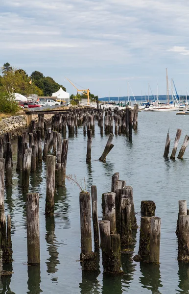 Wood Pilings Alongside Portland Coast — Stock Photo, Image