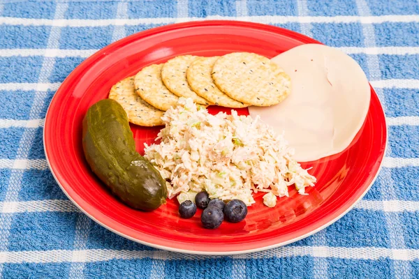 Ensalada de pollo con queso y galletas saladas — Foto de Stock