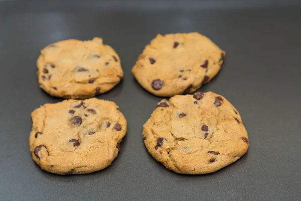 Four Fresh Baked Chocolate Chip Cookie — Stock Photo, Image