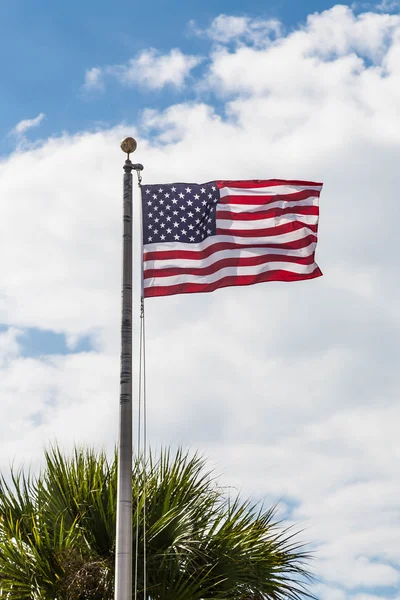 Bandeira americana soprando sobre palmeira — Fotografia de Stock