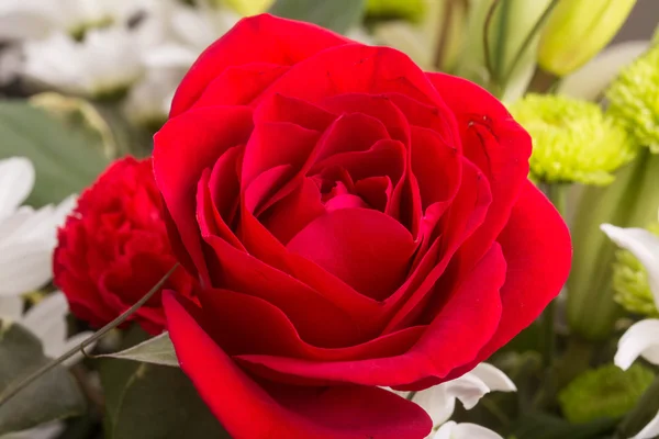 Rose simple au bouquet de printemps — Photo