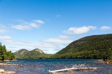 Vahşi doğada Maine