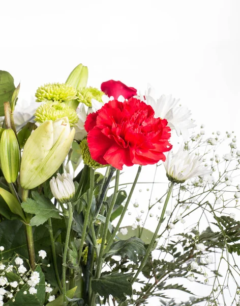 Spring Bouquet on White Background — Stock Photo, Image