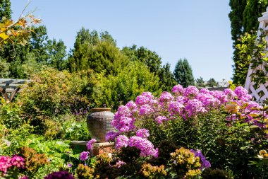 Mor çiçekler ve seramik kap kamu bahçe içinde