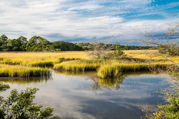 Водно-болотних угідь боліт і сині небеса — стокове фото