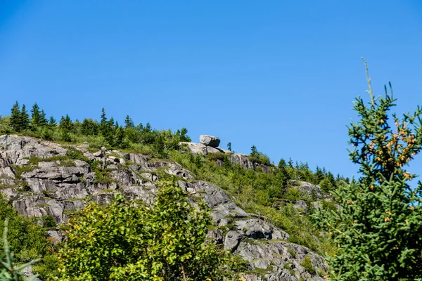 Verde sopra la collina rocciosa — Foto Stock