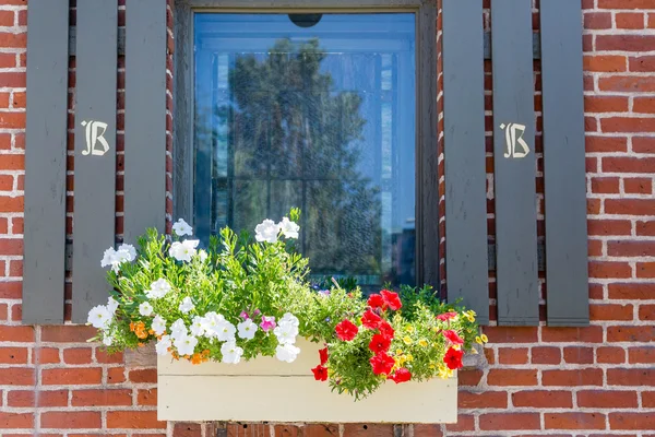 Rode en witte bloemen in een venster in — Stockfoto