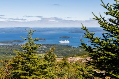 Beyaz yolcu gemisi çam ağaçları ötesinde