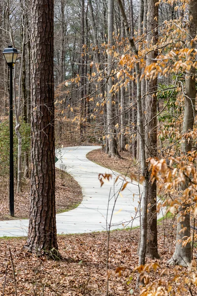 冬の森でカーブした歩道を設置 — ストック写真