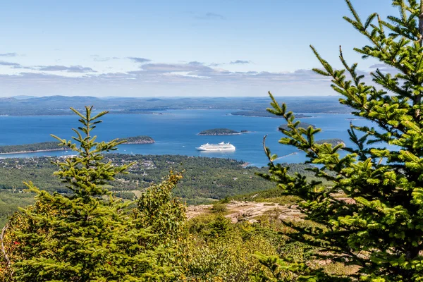 Nave da crociera a Bay Beyond Fir Trees — Foto Stock