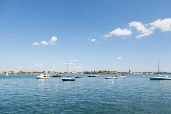 Veleros blancos y azules rojos en Boston Harbor —  Fotos de Stock