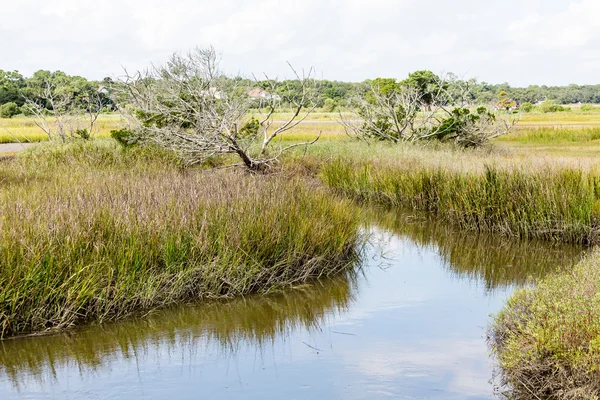 Tuzlu su Marsh sayesinde yüksek Tide — Stok fotoğraf