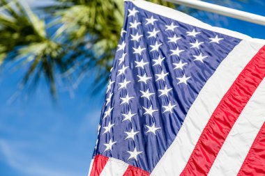 American Flag with Palm Tree in Background clipart