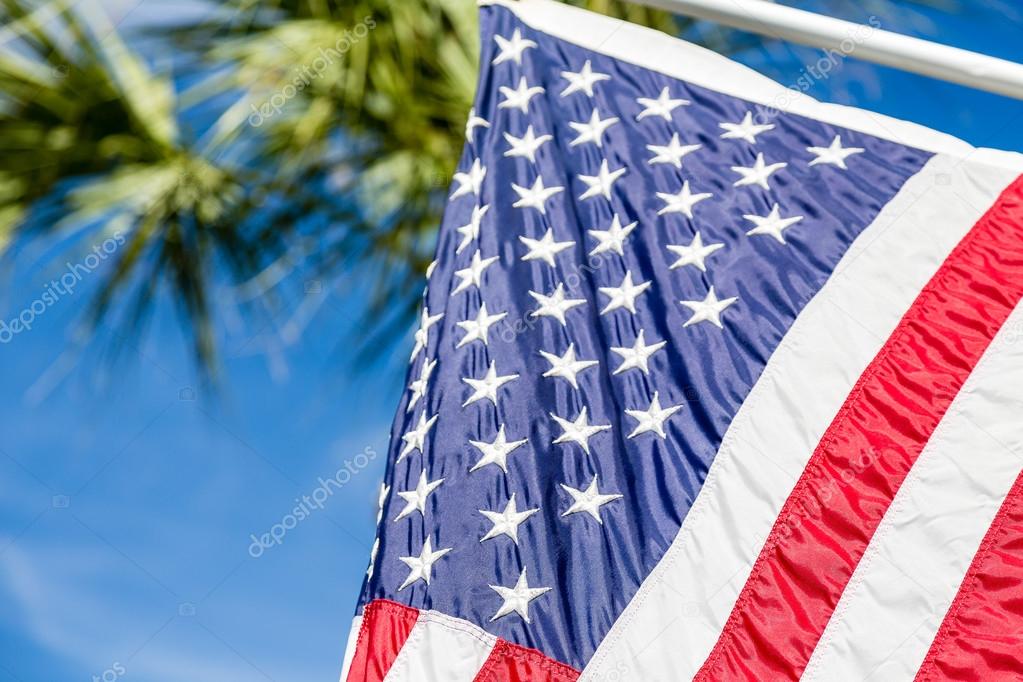 American Flag with Palm Tree in Background