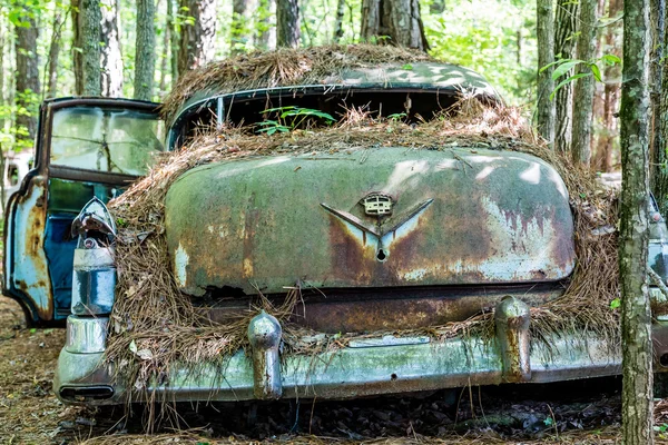 Caddy from Rear — Stock Photo, Image