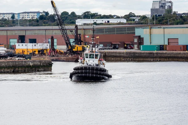 Tugboat Heading Straight On — Stock Photo, Image