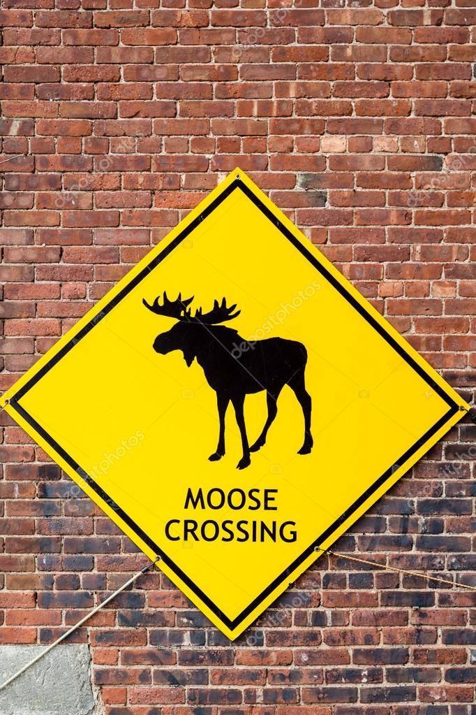 moose crossing sign on brick wall stock photo dbvirago 74405967